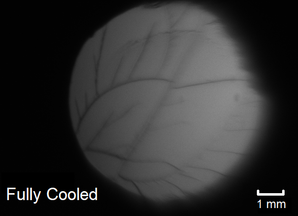 Photo of Argon solid after cooling to temperatures at which cracks form.